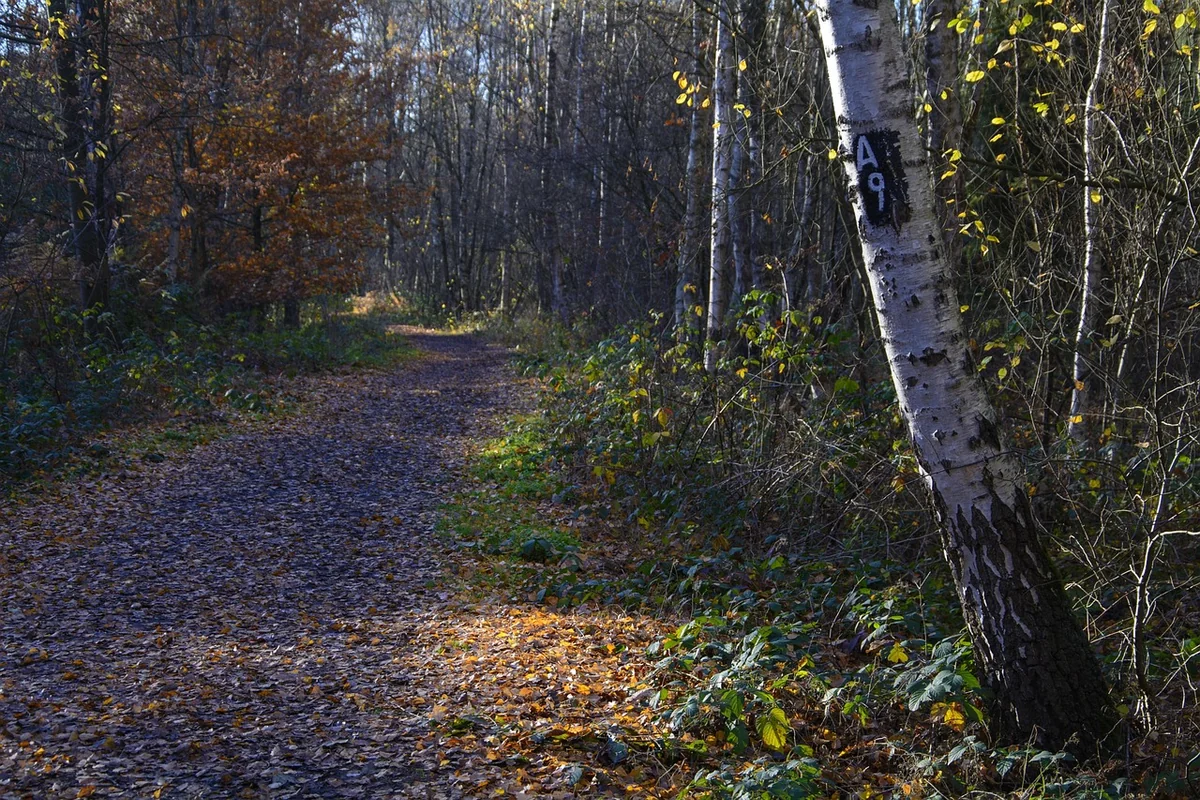 Principes d'aménagement : zonage et ergonomie