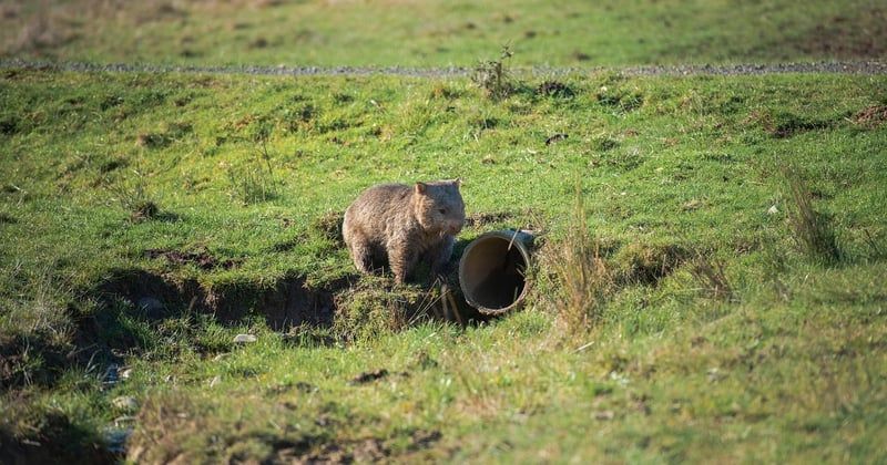 Débouchage canalisation Val d'Oise : l'intervention rapide qui change tout