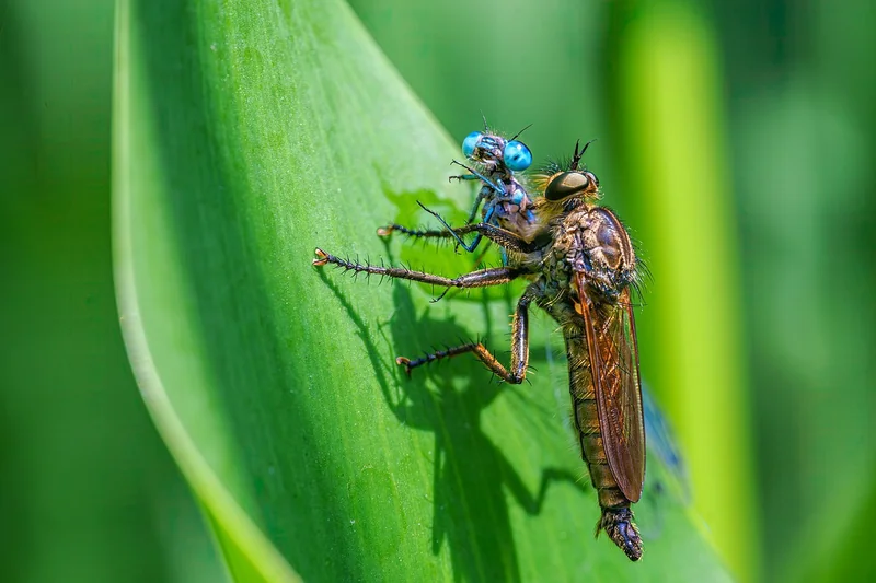 Monter et étanchéifier la prise extérieure