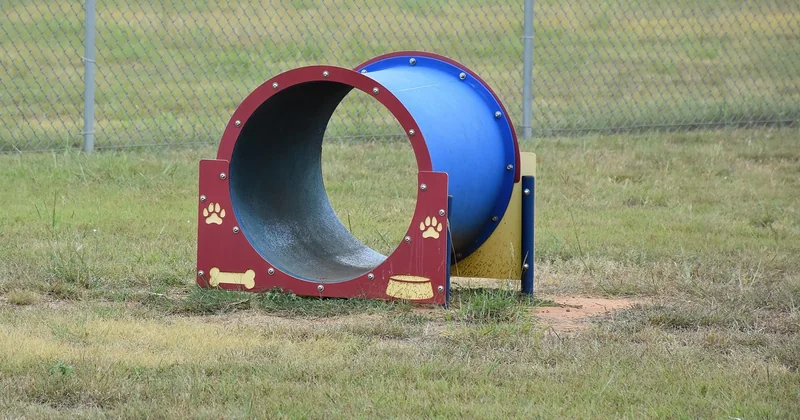 Peut-on acheter un chien détecteur de punaise de lit ?