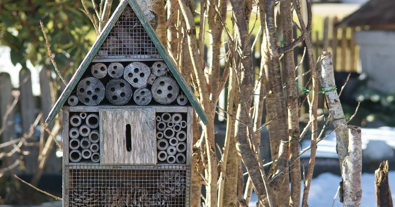 Quels sont les matériaux les plus écologiques ?