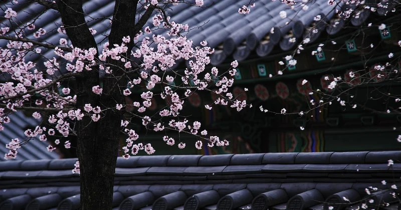 Comment traiter des tuiles poreuses : ce qui marche vraiment