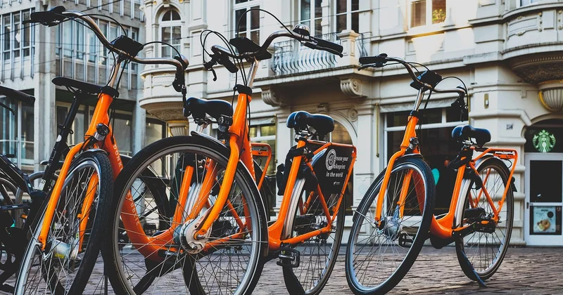 Louer une benne à la mairie ou chez un loueur : quelles différences de prix ?